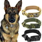 shock collar for dogs