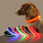 Flashing Glow Dog Collar